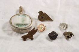 Mayo Clinic Pill Box Fraternal, Mack Bulldog Pins