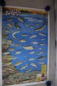1987 Blatz Beer Fishes of Great Lakes Poster