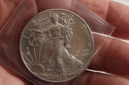 2013 Silver Eagle 1 Troy Oz .999 Pure Silver