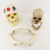2 Resin Human Skulls Shark Jaw, Hachimaki Headband