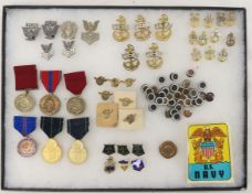 US Navy Insignia & Medals in Riker case