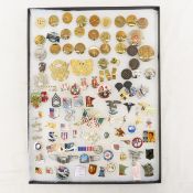 Collection of 80+ US Military & Other Pins
