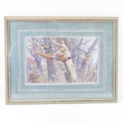 Signed, Framed James A . Meger Pheasant Print
