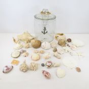 Glass Biscuit Jar Full of Sea Shells with Bracelet