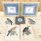 Vintage Framed Lizars SC Bird Prints & More