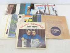20+ 33 rpm Polka & MN Locally Recorded Albums