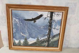 Framed Tom Beecham Soaring Eagles Art Print