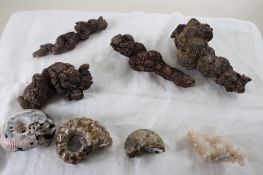 Assortment of Geological Minerals & Specimens