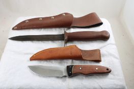 2 Fixed Blade Knives with Sheaths