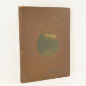 Filmore County In The World War 1917, 1918, 1919