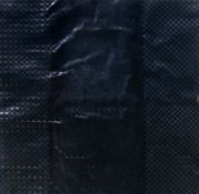 Gregor Hildebrandt (1974 Bad Homburg vor der Höhe – lebt in Berlin)