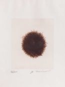 Arnulf Rainer (1929 Baden - Wien 2025)