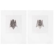 Kiki Smith (1954 Nürnberg – lebt in Berlin)