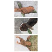 Soon-Joo Yi (1959 Süd Korea)