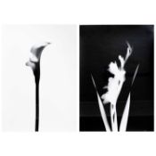 Floris Michael Neusüss (1937 Remscheid-Lennep - Kassel 2020)