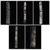 Hans Biezen (1947 Tilburg - Östersund 2024)