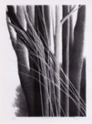 Robert Kipniss (1931 New York – lebt in Sharon)