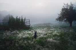 Pepa Hristova (1977 Sevlievo – lebt in Hamburg)