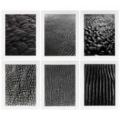 Alfred Ehrhardt (1901 Triptis - 1984 Hamburg)