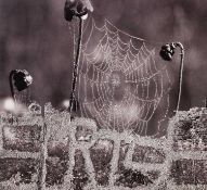 Sterling Ruby (1972 Bitburg – lebt in Los Angeles)