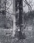 Gérard Traquandi (1952 Marseille – lebt in Marseille)