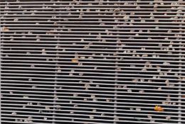 Stephen Wilks (1964 Bridgwater – lebt in Berlin)