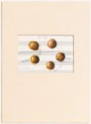 Unbekannte*r Künstler*in