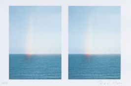 Roni Horn (1955 New York – lebt in New York)