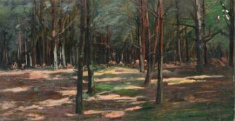 Michał Gorstkin-Wywiórski (1861 Warschau - Berlin 1926)