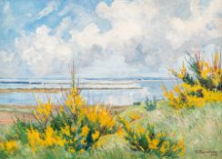 Katharina Bamberg – Ginsterblüte auf Hiddensee.