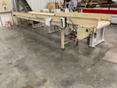 24" x 17' Belt Conveyor