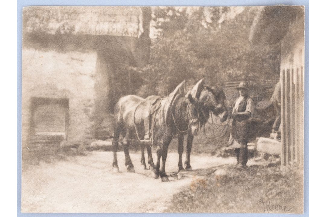 Zwei historische Fotografien von Dresden und eine Beigabe - Bild 4 aus 4