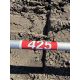 ECHO SRM2320T Weed Wacker - Image 2 of 4