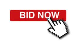 TEST YOUR BID BUTTON