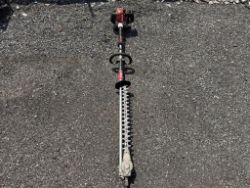 Shindaiwa AH262 Pole Trimmer