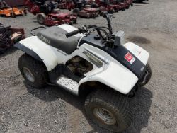 Yamaha Breeze Quad