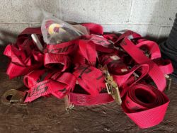 Assorted Ratchet Tie-Down Straps