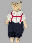 Steiff Teddy um 1909, Knopf im Ohr, mit Buckel, Mohair, Körper mit Stroh gefüllt, Glasaugen, bewegl