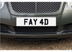 &nbsp; FAY 4D Registration number&nbsp;