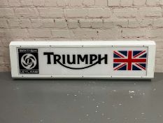 Triumph Illuminated Sign&nbsp;