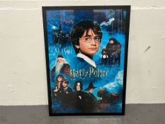 Harry Potter Framed Poster