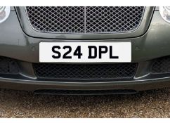 &nbsp; S24 DPL Registration Number&nbsp;