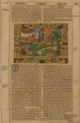 Biblia germanica.