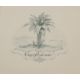 The three-screw fast steamer Cap Polonio. - Image 2 of 6