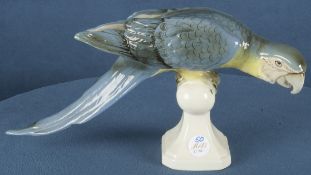 Ara. Royal Dux um 1900. Keramik, naturalistisch modelliert und staffiert, am Boden gemarkt, H=21,4 