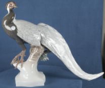 Stehender Silberfasan. Nymphenburg um 1920. Porzellan, naturalistisch modelliert und staffiert, ohn