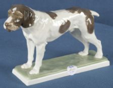 Pudelpointer. Rosenthal um 1910. Porzellan, naturalistisch modelliert und staffiert, am Boden grüne