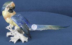 Sitzender Ara. Volkstedt-Ens 20. Jh. Porzellan, naturalistisch modelliert und staffiert, am Boden g