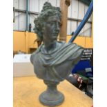 A STONE BUST OF APOLLO BELVEDERE IN A VERDIS GRIS COLOUR, HEIGHT 51CM