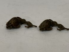 A PAIR OF BRONZE FISH-SNAKE HYBRID TEA PETS